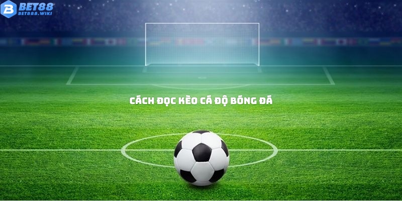 Cách đọc kèo cá độ bóng đá chi tiết nhất Cách đọc kèo cá độ bóng đá chi tiết nhất