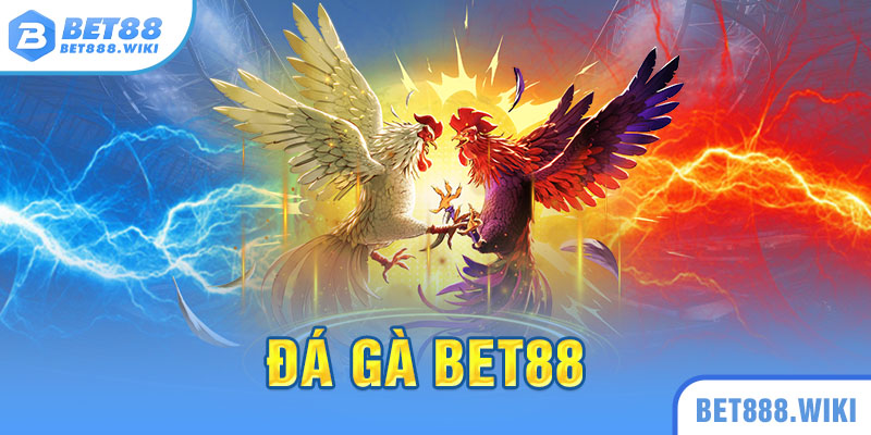 Giới thiệu sảnh đá gà Bet88 Giới thiệu sảnh đá gà Bet88