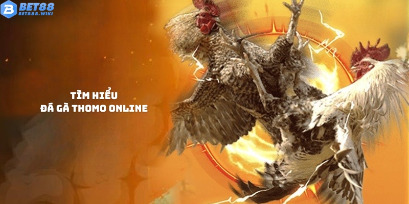 Tìm hiểu loại hình cá cược đá gà Thomo online
