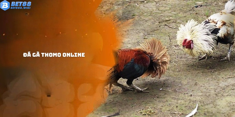 Đá gà Thomo online