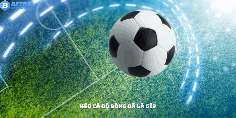 Tìm hiểu khái niệm kèo cá độ bóng đá Tìm hiểu khái niệm kèo cá độ bóng đá