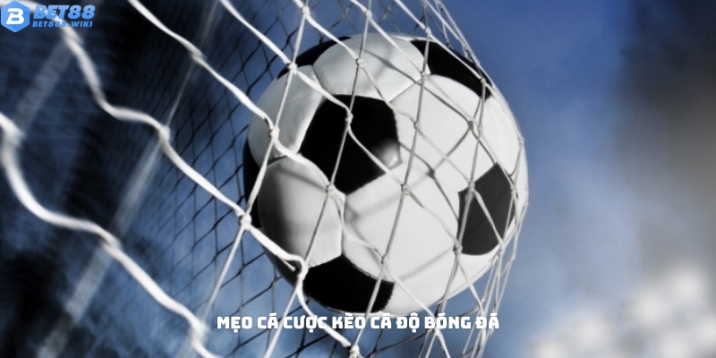 Mẹo cá cược kèo cá độ bóng đá chiến thắng Mẹo cá cược kèo cá độ bóng đá chiến thắng