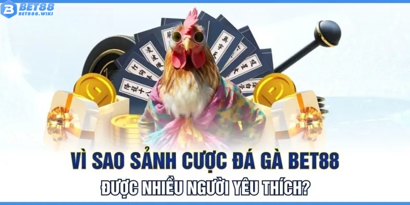 Ưu điểm tạo nên sức hút của sảnh đá gà Bet88 Ưu điểm tạo nên sức hút của sảnh đá gà Bet88
